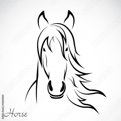 Vector of a horse head design. Animals.