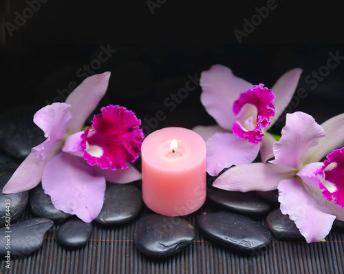 beautiful orchid with candle and zen stones on mat