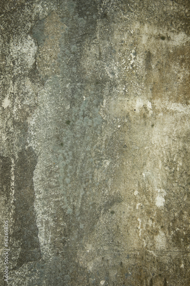Wall plaster Wall plaster