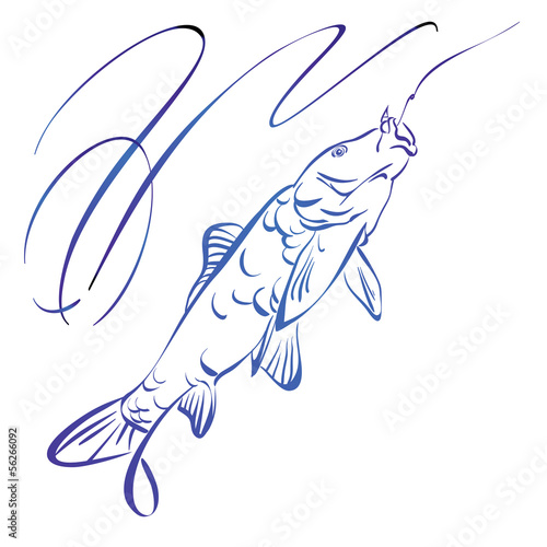 Fish symbol,  hand drawn vector llustration
