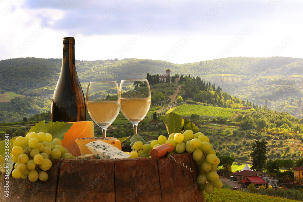 White wine with barell  in vineyard, Chianti, Tuscany, Italy