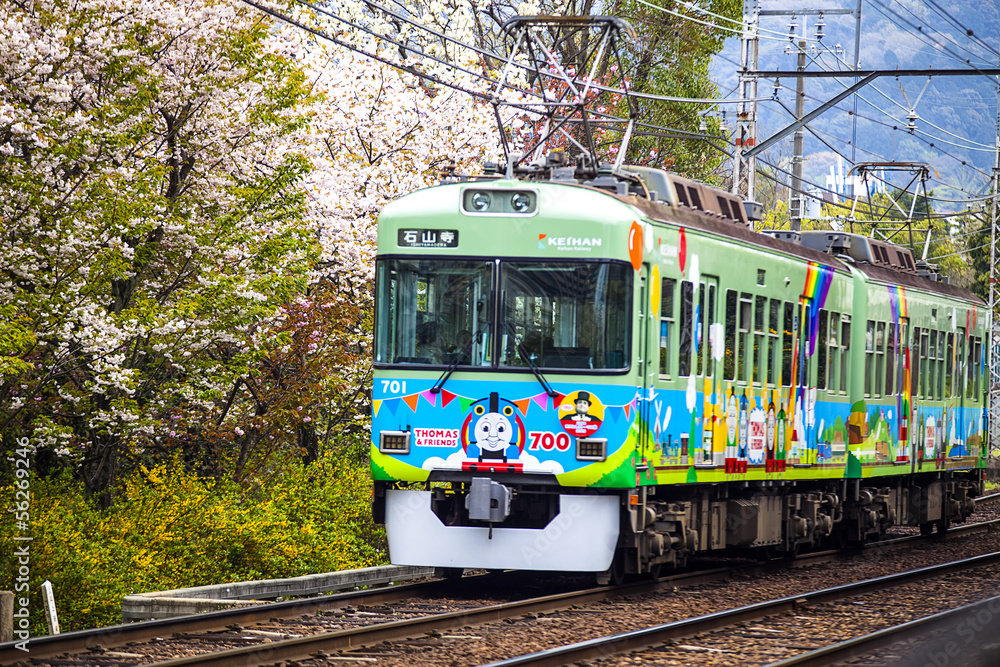 Train with beautiful sakura