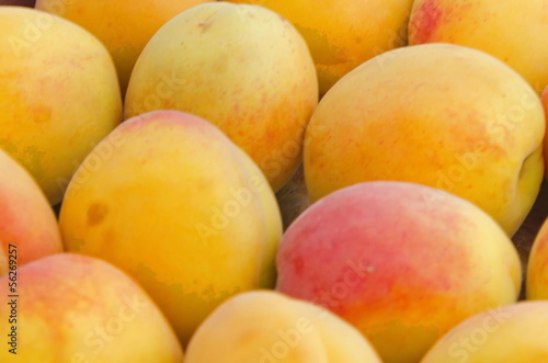 Apricot fruits fullcolor background