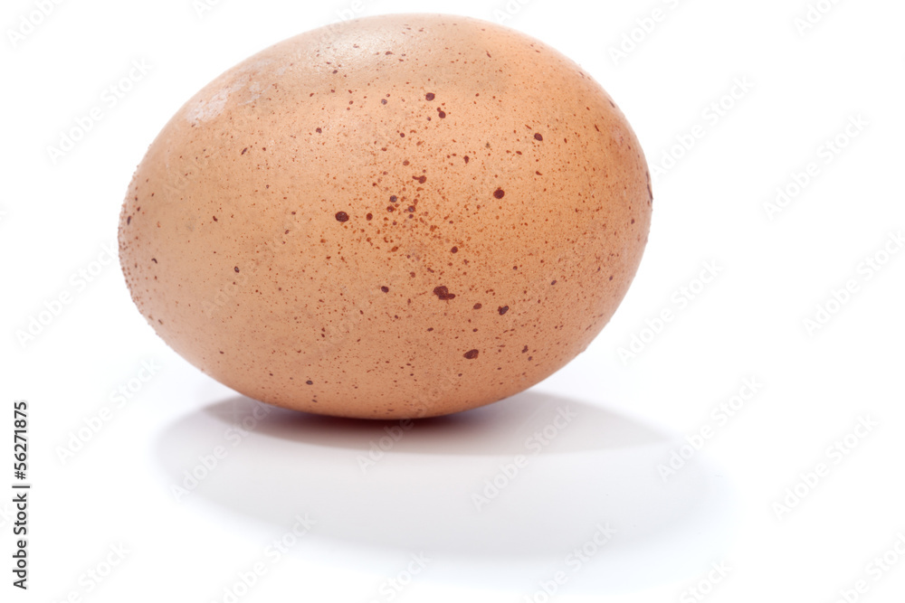 One brown egg, isolated on white One brown egg, isolated on white