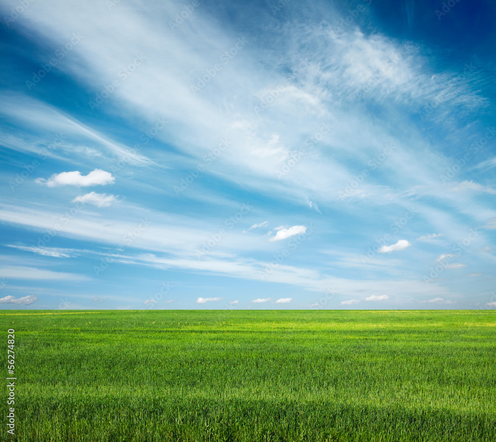 sky and fields