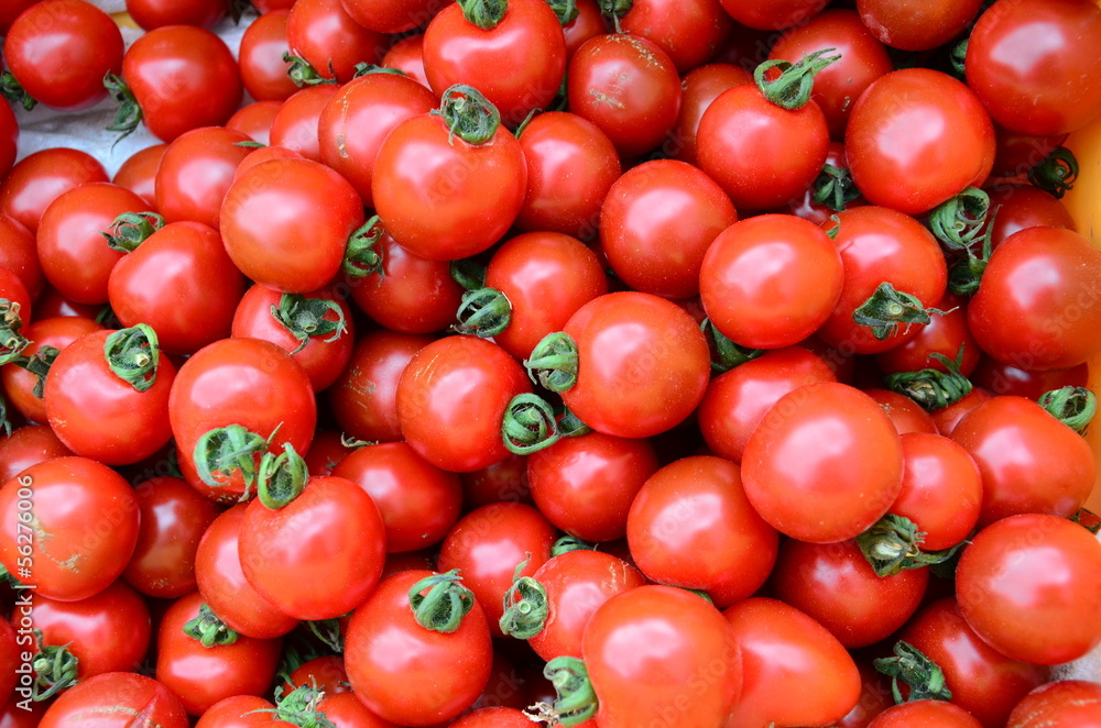 Pile of fresh tomatoes