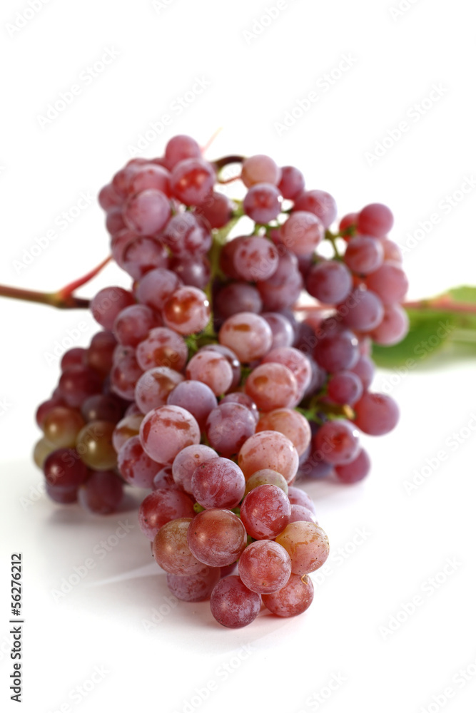 Fototapeta premium grapes