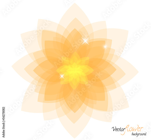 Vector lotos flower