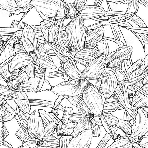 Fototapeta Naklejka Na Ścianę i Meble -  Seamless monochrome floral background with lilies