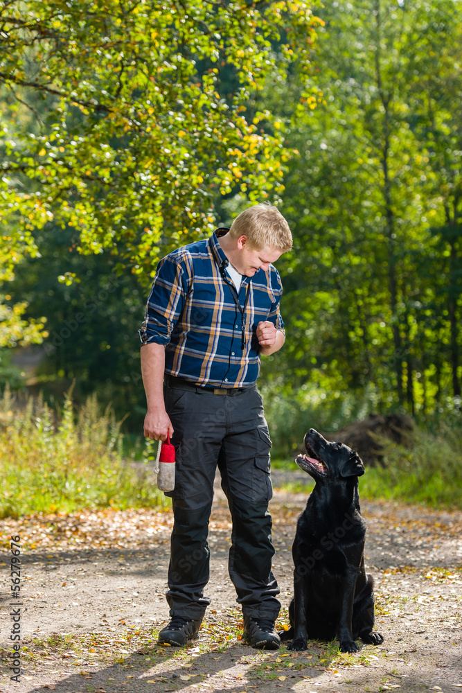 Labrador retriever