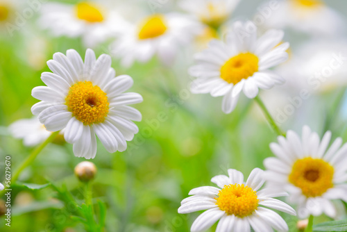 Fototapeta Naklejka Na Ścianę i Meble -  naure power