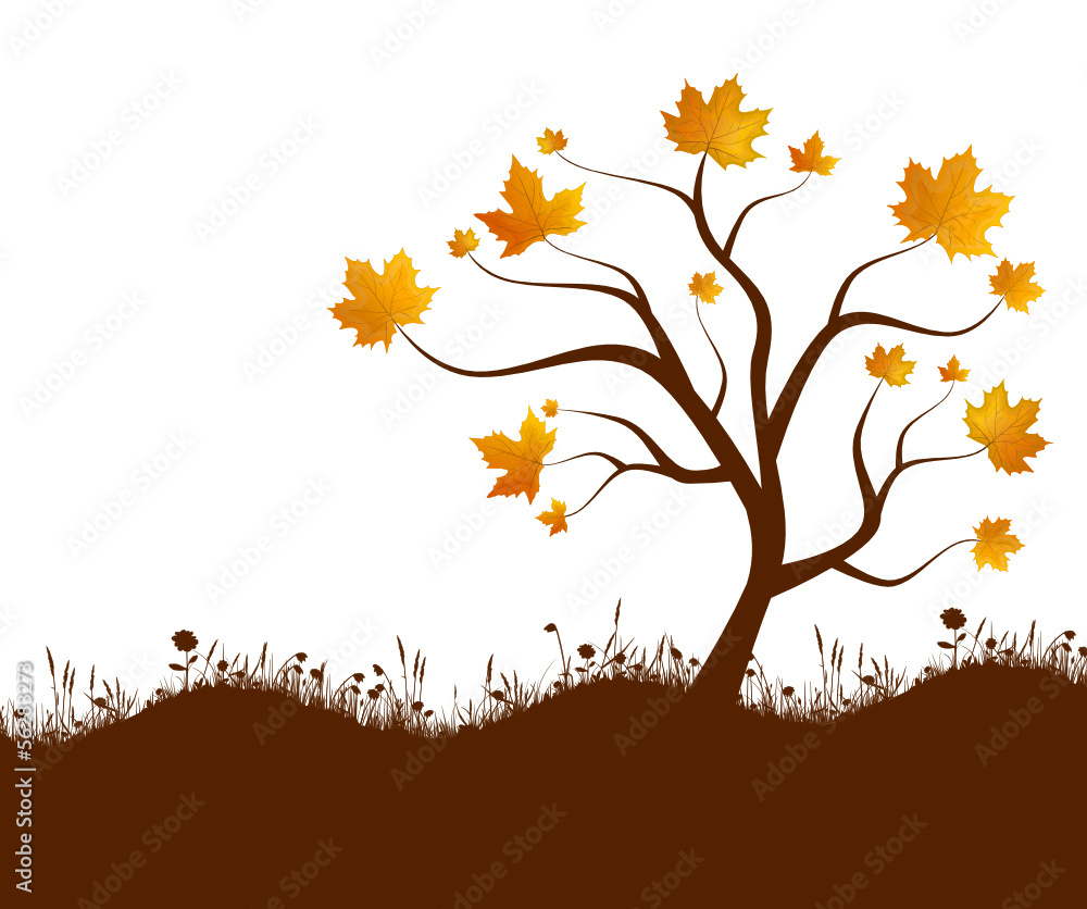 Obraz premium Herbst Baum Wiese