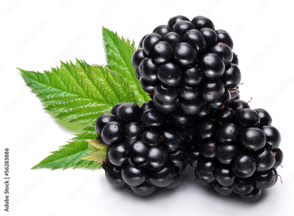 Blackberries Blackberries