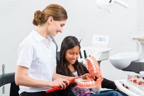 Dentist with toothbrush, denture, and little patient photo