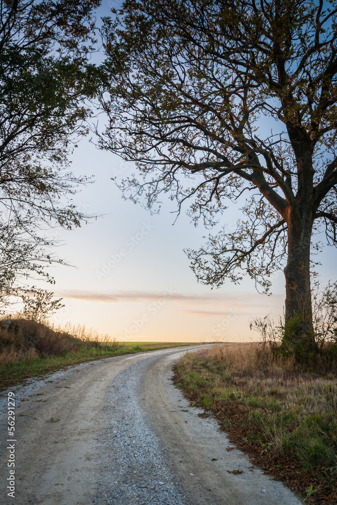 Fototapeta premium Road to the sunset