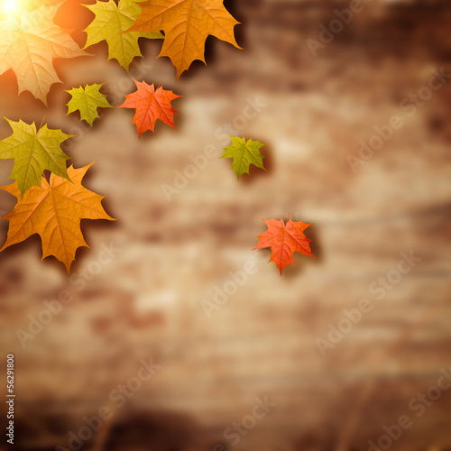 wooden background with the leafs