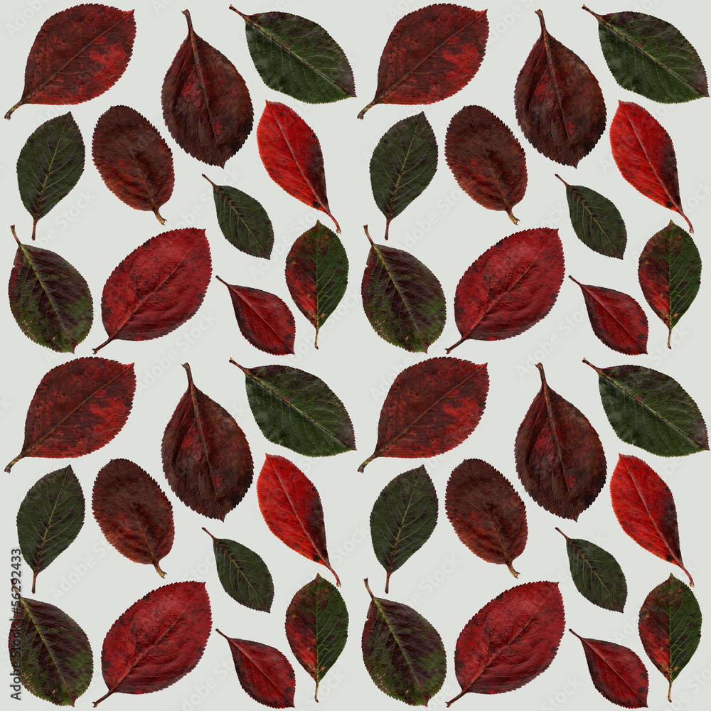 background of autumn leaves background of autumn leaves