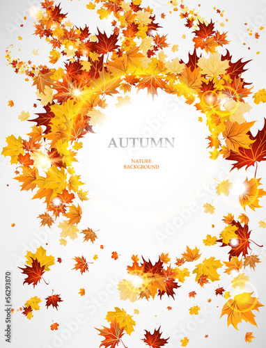 Abstract autumnal  background  with leaves