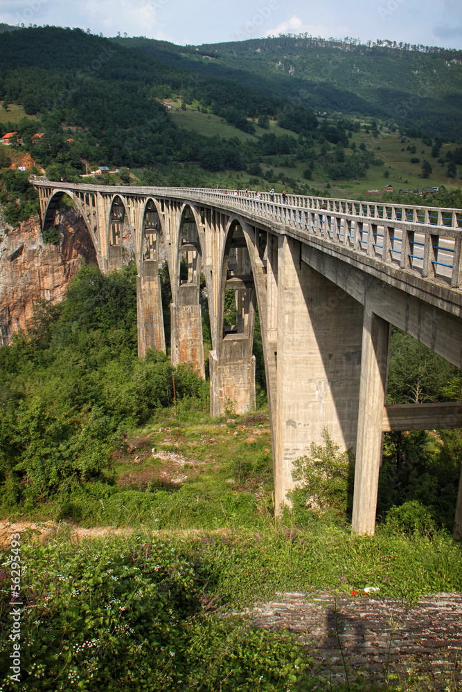 Bridge over Tara