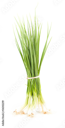 Green Onion - Natural food for health