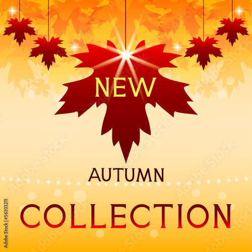 New autumn collection. Background with maple leaves.