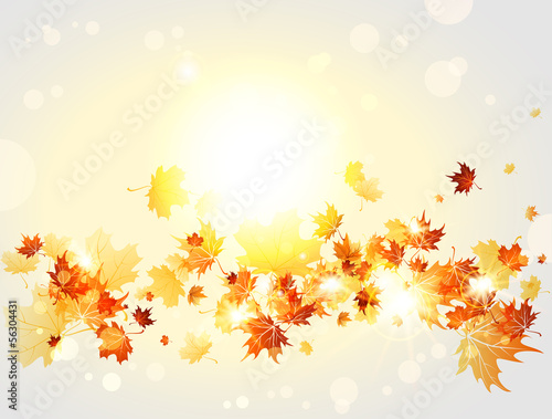 Autumnal background with maple leaves and lights