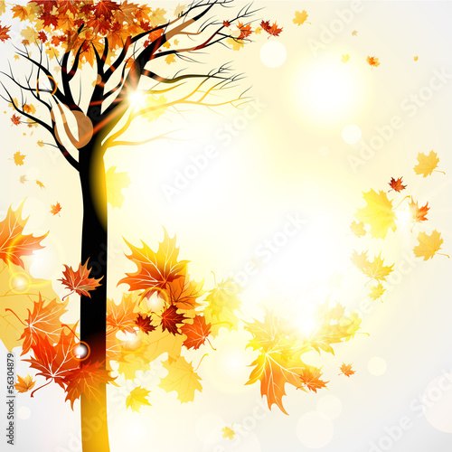 Beautiful autumnal background with tree