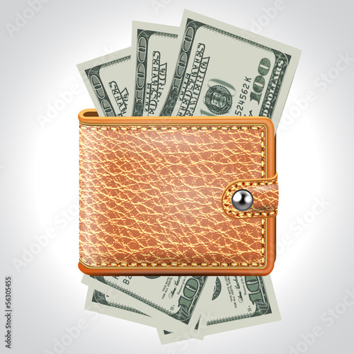 Brown  Wallet. Dollar USA .Vector