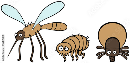 parasites mosquito flea and tick