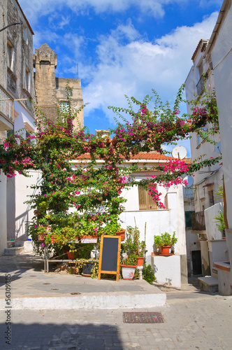 Alleyway. Rodi Garganico. Puglia. Italy.