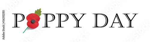 Poppy Day - Remembrance Day, Panoramic