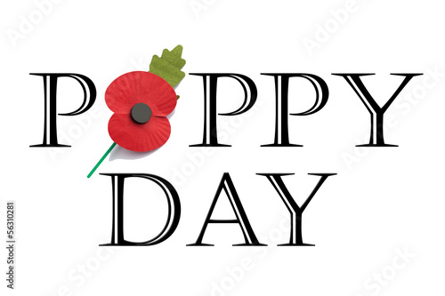 Poppy Day - Remembrance Day