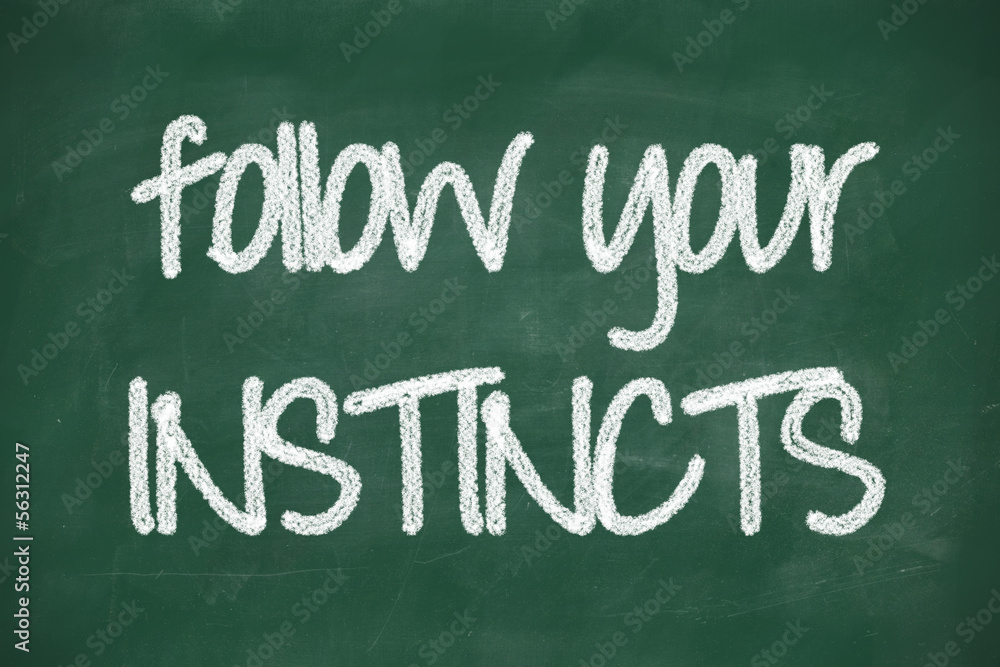 Obraz premium follow your instincts phrase
