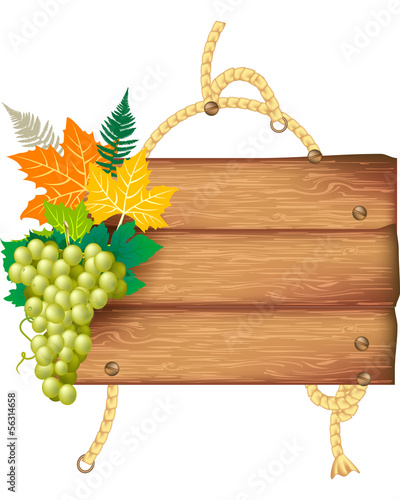 Vendemmia