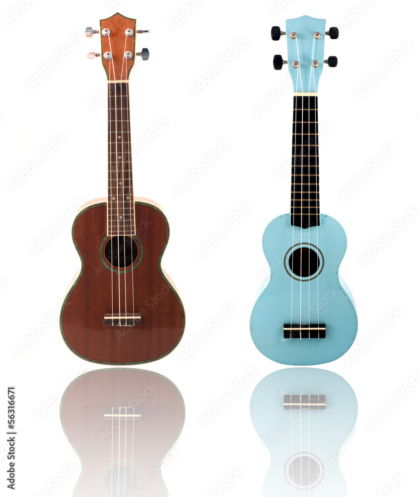 Obraz premium Ukulele guitar