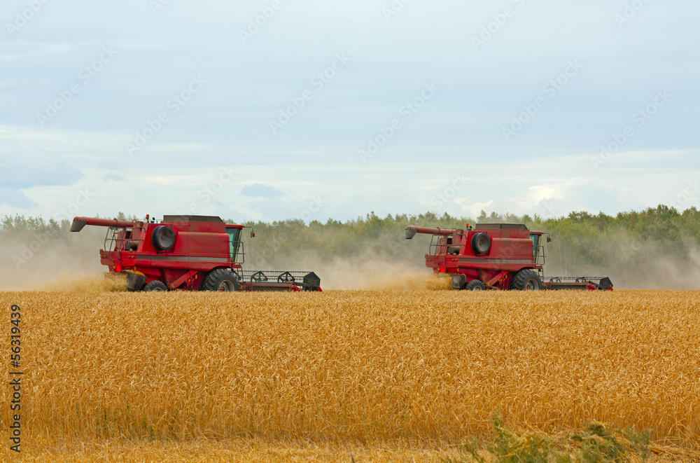 Obraz premium Harvesters