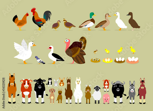 Cartoon Farm Characters (Part 2)