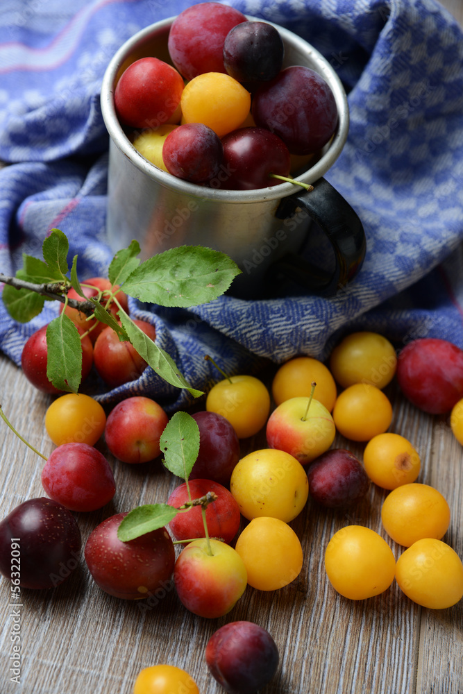 Bunte Wildpflaumenmischung Bunte Wildpflaumenmischung