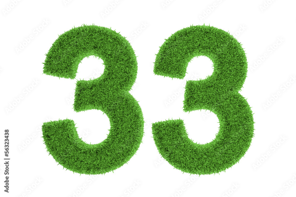 Number 33 with a green grass texture Number 33 with a green grass texture