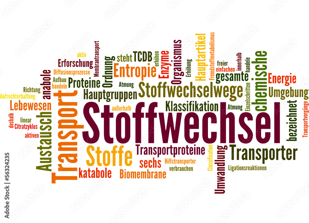 Stoffwechsel (Stoffwechseldiät, Ernährung) Stoffwechsel (Stoffwechseldiät, Ernährung)