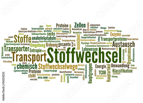 Stoffwechsel (Stoffwechseldiät, Ernährung)