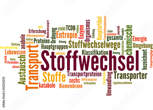 Stoffwechsel (Stoffwechseldiät, Ernährung)