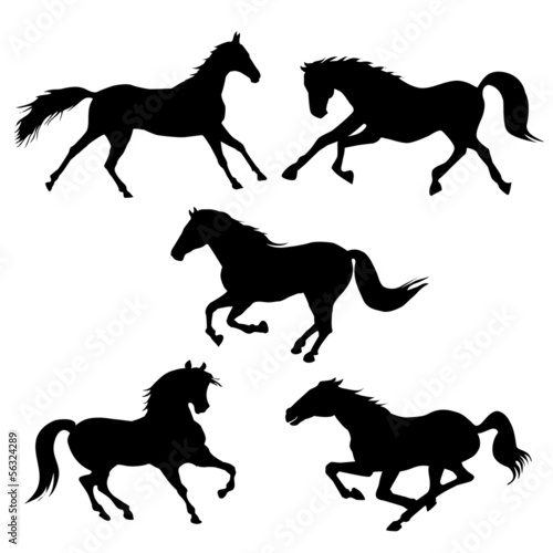 Horse silhouettes