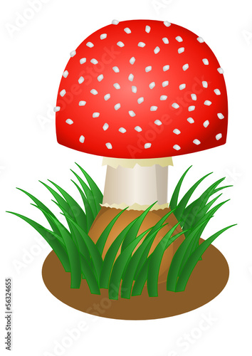 An amanita