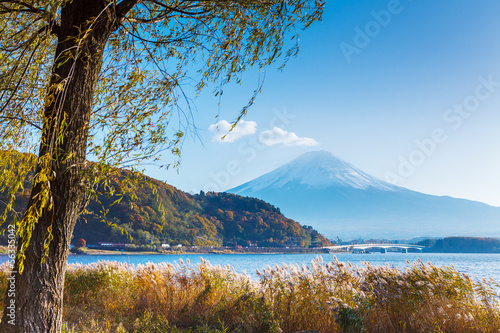 Mt. Fuji and lake