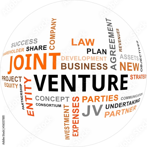 word cloud - joint venture