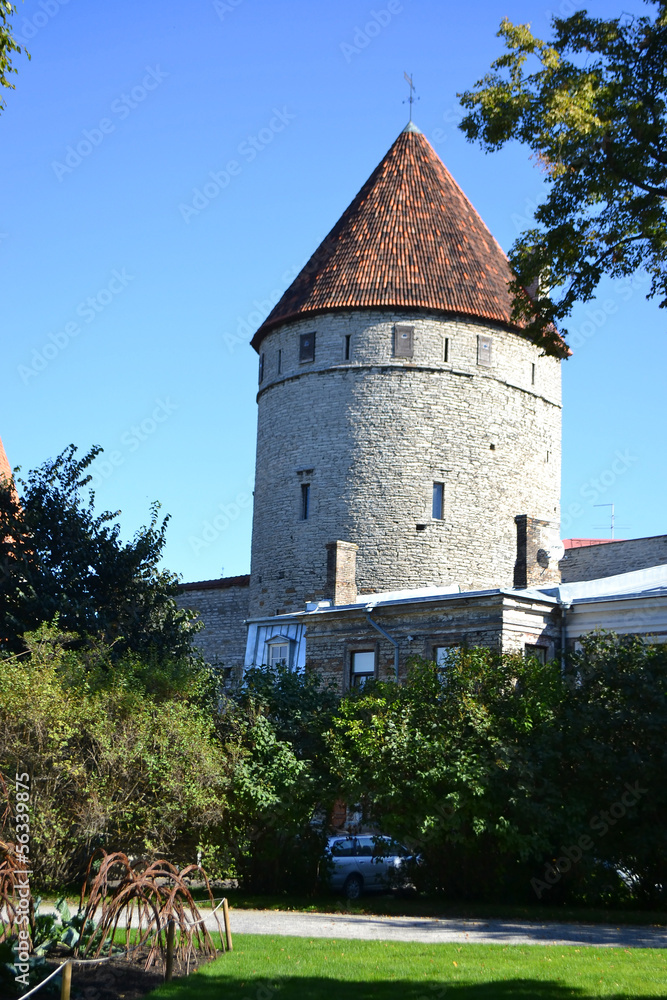 Tower of town wall in Tallinn