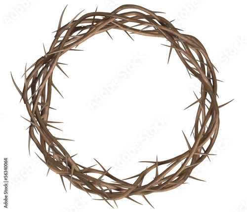 Leinwand Poster Crown Of Thorns Top