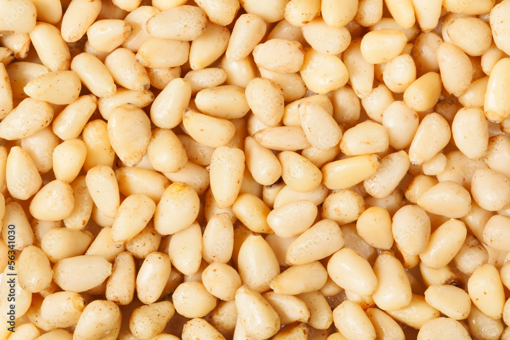 pine nuts background pine nuts background