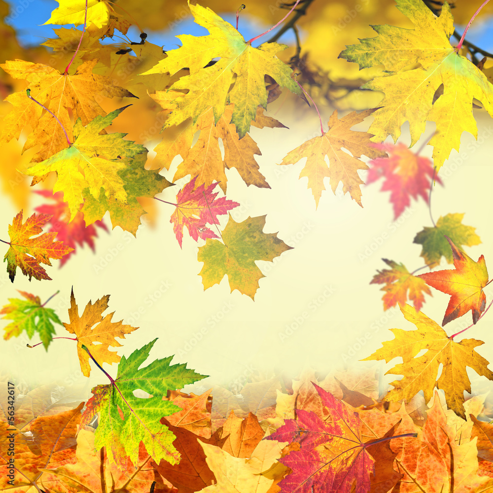 Fototapeta premium Karte mit herbstlichen Grüßen